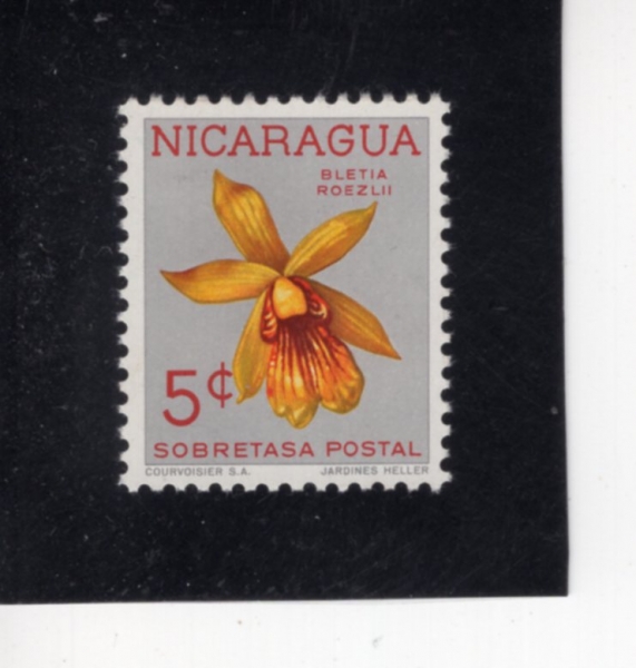 NICARAGUA(��ī���)-#RA69-5c-LYCASTE MACROPHYLIA(����ī��Ʈ ��ũ���ʶ�)-1962.2��