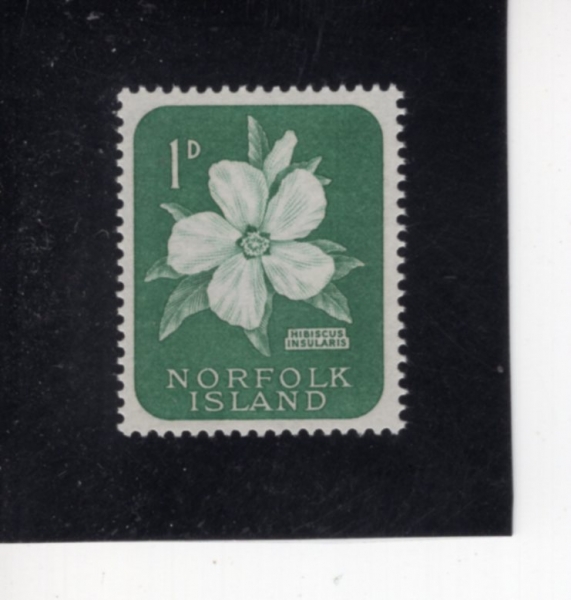 NORFOLK ISLAND(���� ��)-#29-1p-ISLAND HIBISCUS(����Ŀ�� �ν��󸮽�)-1960��