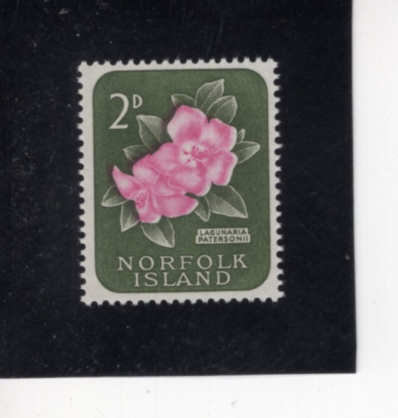 NORFOLK ISLAND(���� ��)-#30-2p-LAGUNARIA PATERSONII(�󱸳����� ���ͼҴϾ�)-1960��