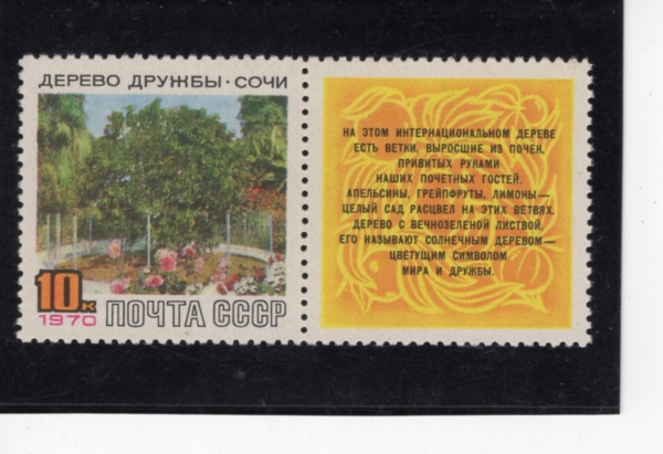 RUSSIA(���þ�)-#3712-10k-FRIENDSHIP TREE, SOCHI(��������)-1970.3.18��