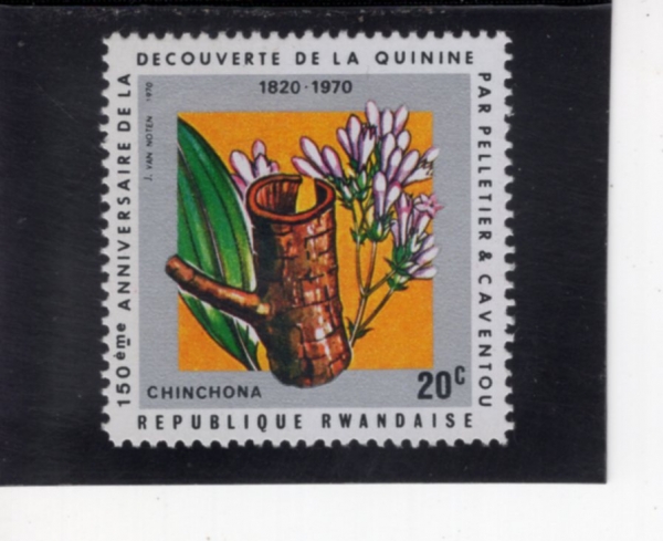 RWANDA(���ϴ�)-#367-20c-CINCHONA FLOWER AND BARK(���ʳ�, ������ �ܴ��� �ܺ� ����)-1970.10.27��
