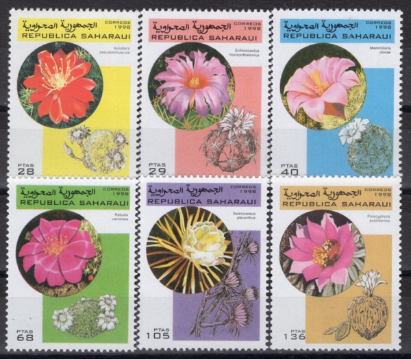 SAHARAUI(���϶� �ƶ� ���� ��ȭ��)-#NO(6��)-CACTUS(������)-1998��