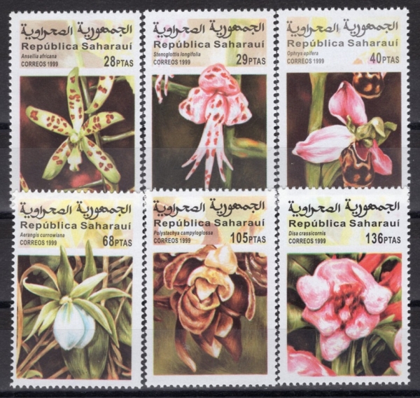 SAHARAUI(���϶� �ƶ� ���� ��ȭ��)-#NO(6��)-ORCHID(����)-1999��