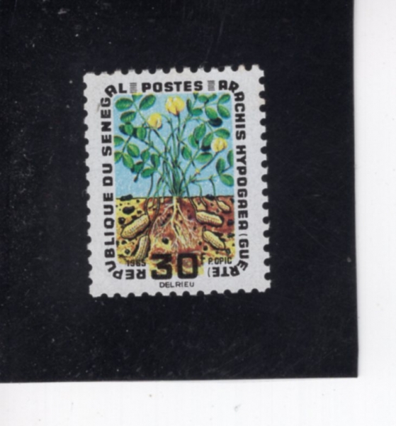 SENEGAL(���װ�)-#260-30fr-PEANUTS(����)-1965.12.18��