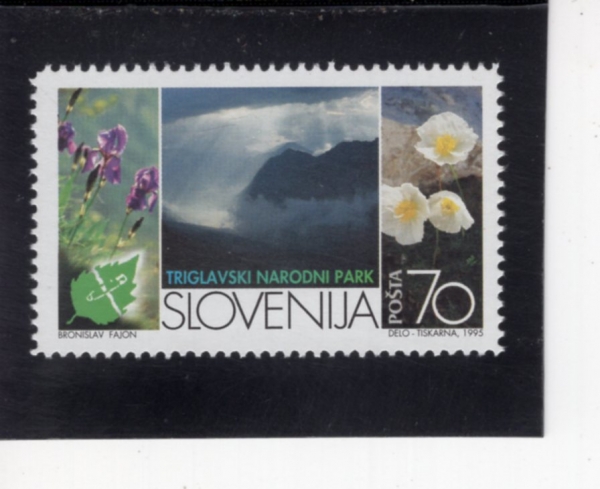 SLOVENIA(���κ��Ͼ�)-#231-70t-EUROPEAN NATURE CONSERVATION YEAR(���� �ڿ���ȣ�� ��)-1995.3.29��