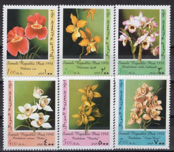SOMALI(�Ҹ���)-#NO(6��)-ORCHID(����)-1998��