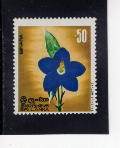SRI LANKA(������ī)-#496-50c-EXACUM TRINERVE(������)-1976.1.1��