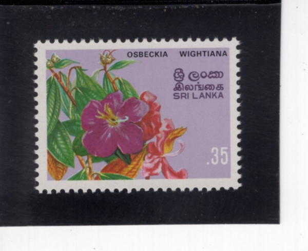 SRI LANKA(������ī)-#628-35c-OSBECKIA WIGHTIANA(������Ű��)-1982.4.1��