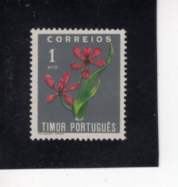 TIMOR(Ƽ��)-#260-1a-BLACKBERRY(��������)-1950��