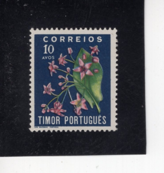 TIMOR(Ƽ��)-#262-10a-FLOWER(��)-1950��