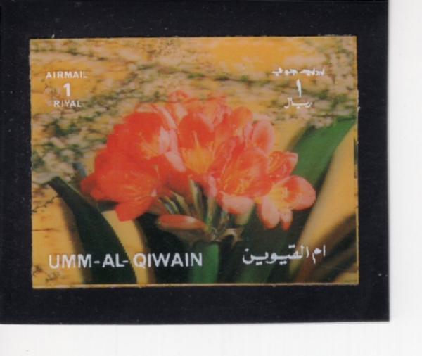 UMM AL QIWAIN(�� �� ������)-#NO.3-1r-CARNATIONS(ī���̼�)-1965��