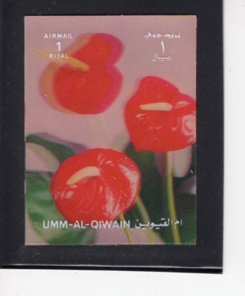 UMM AL QIWAIN(�� �� ������)-#NO.4-1r-CARNATIONS(ī���̼�)-1965��
