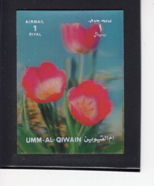 UMM AL QIWAIN(�� �� ������)-#NO.6-1r-CARNATIONS(ī���̼�)-1965��