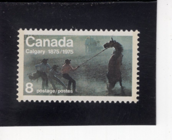 CANADA(ĳ����)-#667-8c-\"UNTAMED\"-WILD HORSE RACE(ĳ������ �߻���)-1975.7.3��