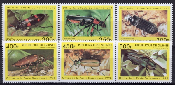 GUINEA(���)-#NO(6��)-INSECTS(����)-1998��