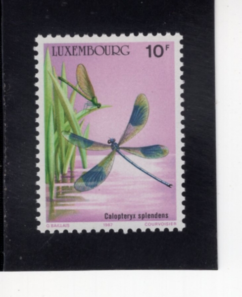 LUXEMBOURG(����θ�ũ)-#764-10fr-CALOPTERYX SPLENDENS(�� �������)-1987.3.9��