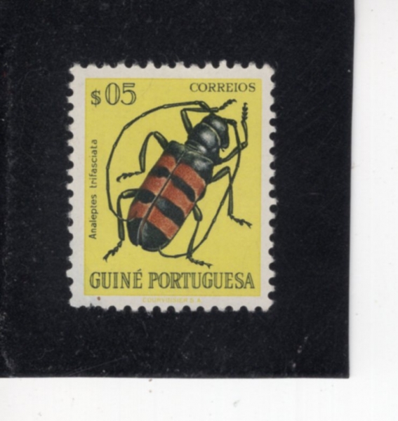 PORTUGUESE GUINEA(�������� ���)-#281-5c-ANALEPTES TRIFASIATA(��ƽ��似��)-1953��