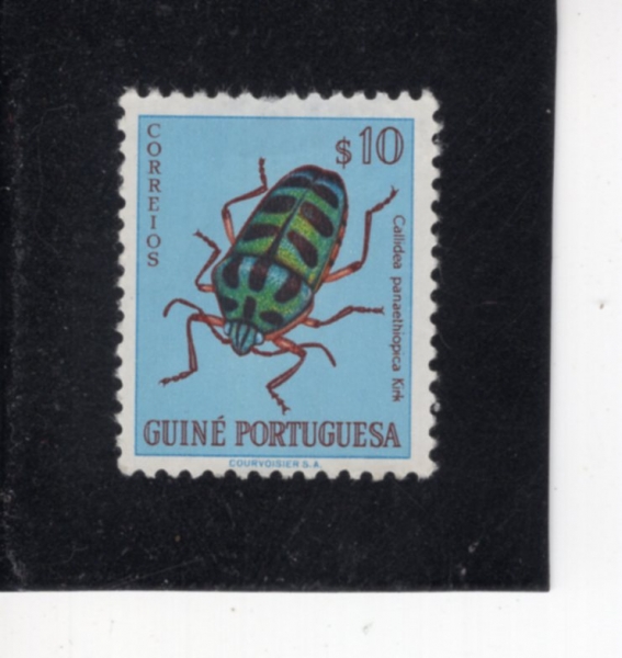 PORTUGUESE GUINEA(�������� ���)-#282-10c-CALLIDEA PANAETHIOPICA KIRK(Į������ �ǿ�Ƽ����ī)-1953��