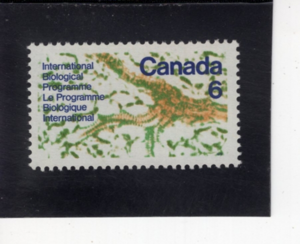 CANADA(ĳ����)-#507-6c-MICROSCOPIC VIEW OF INSIDE OF LEAF(�� ���� ���̰� ����)-1970.2.18��