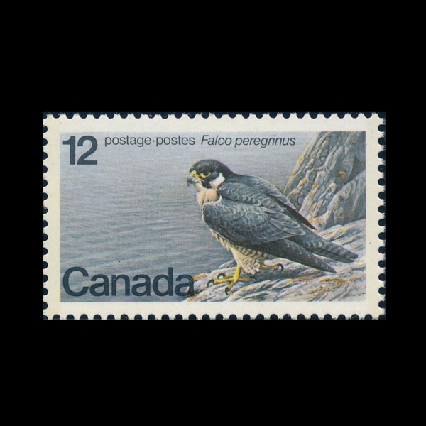 CANADA(ĳ����)-#752-12c-PEREGRINE FALCON(�۰��)-1978.1.18��