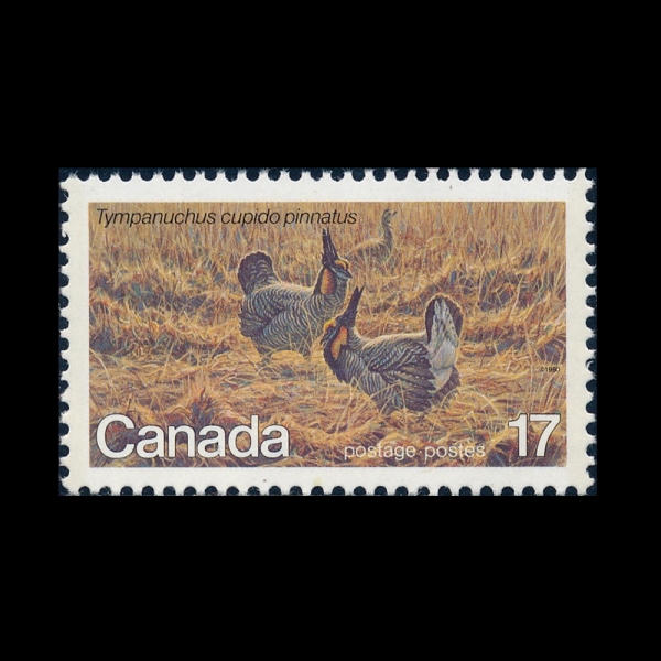 CANADA(ĳ����)-#854-17c-GREATER PRAIRIE CHICKEN(ū�ʿ���)-1980.5.6��