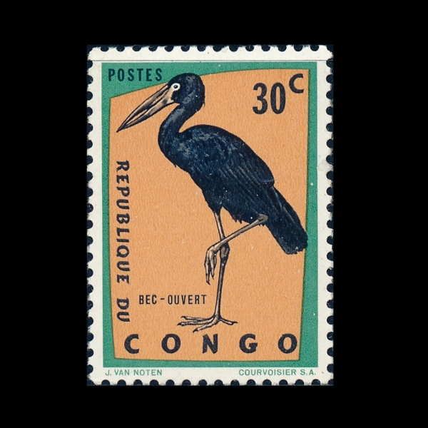 CONGO, DEMOCRATIC REPUBLIC(��� �������ǰ�ȭ��)-#431-30c-OPENBILL(�ƽþ� ���ºθ� Ȳ��)-1963��