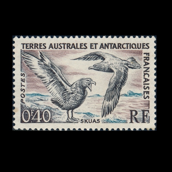 FRENCH SOUTHERN & ANTARCTIC TERRITORY(�������� ���� �� ���� ��)-#13-40c-SKUA(������)-1959.9.14��