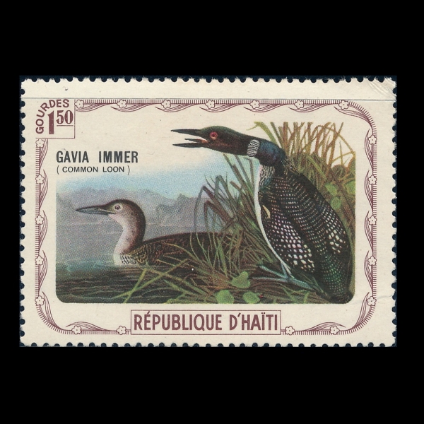 HAITI(����Ƽ)-#NO-1.50g-COMMON LOON(�Ϲ� ���)-1975��