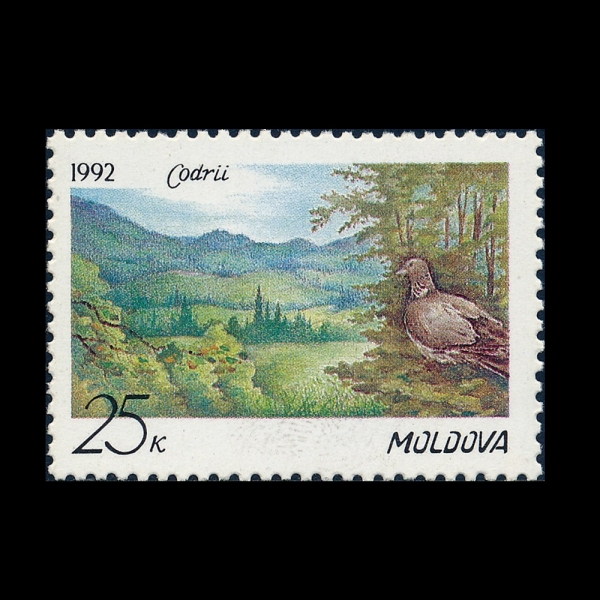 MOLDOVA(������)-#25-25k-CODRII NATURE PRESERVE(�ڵ帮 �ڿ���ȣ����)-1992.2.8��