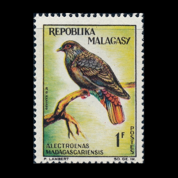 MALAGASY REPUBLIC(���ٰ���ī��)-#340-1fr-MADAGASCAR BLUE PIGEON(���ٰ���ī�� �Ķ���ѱ�)-1963��