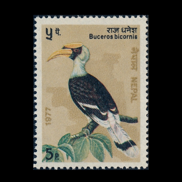 NEPAL(����)-#331-5p-GREAT PIED HORNBILL(ū�Ժθ���)-1977.9.17��