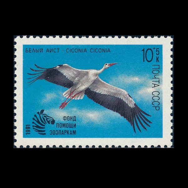 RUSSIA(���þ�)-#B179-10+5k-CICONIA CICONIA(��Ȳ��)-1991.2.4��