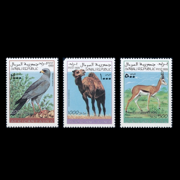 SOMALI(�Ҹ���)-#NO(3��)-AFRICAN FAUNA(������ī�� ����)-1999��