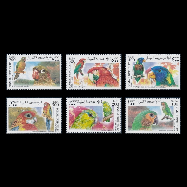 SOMALI(�Ҹ���)-#NO(6��)-Psittaciformes(�޹���)-1999��