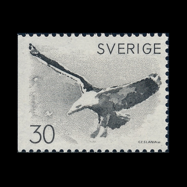 SWEDEN(������)-#800-30o-BLACK-BACKED GULL(ū������ű�)-1968.11.9��