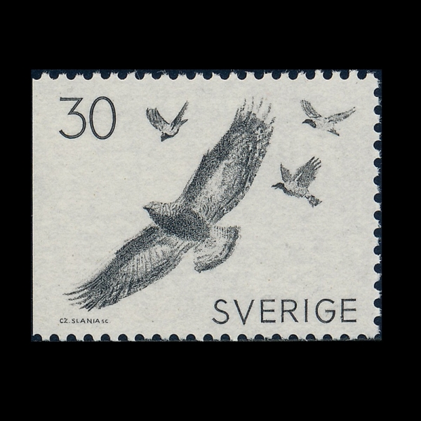 SWEDEN(������)-#802-30o-HOODED CROWS HARASSING GOLDEN EAGLE(Ȳ�ݵ������� �ѾƳ��� ���)-1968.11.9��