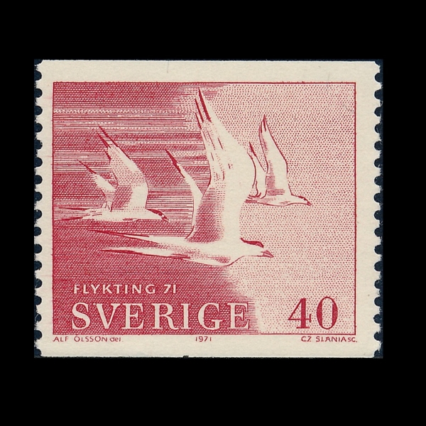 SWEDEN(������)-#886-40o-TERNS IN FLIGHT(���� ���� ���񰥸ű�)-1971.3.26��