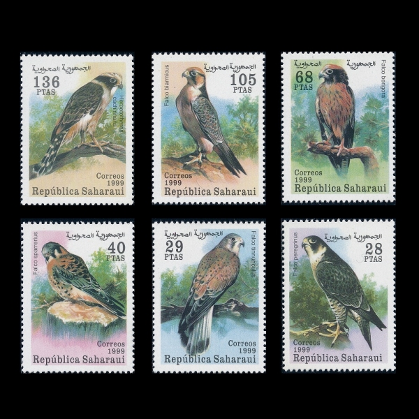 SAHARAUI(���϶� �ƶ� ���� ��ȭ��)-#NO(6��)-PEREGRINE FALCON(�۰��)-1999��