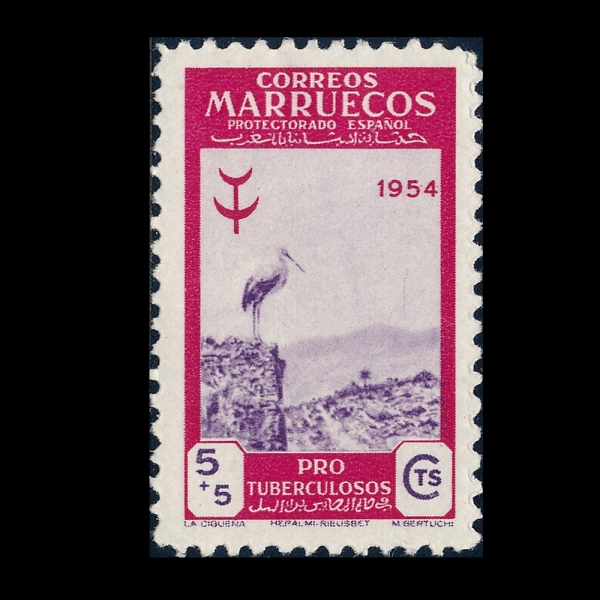 SPANISH MOROCCO(�����η� �����)-#B43-5+5c-STORK(Ȳ��)-1954��