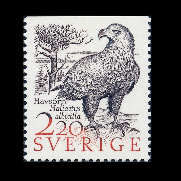 SWEDEN(������)-#1678-2.20k-HALIAETUS ALBICILLA(�򲿸�������)-1988.3.29��