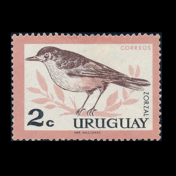 URUGUAY(������)-#695-2c-RUFOUS-BELLIED THRUSH(������������)-1963.4.1��