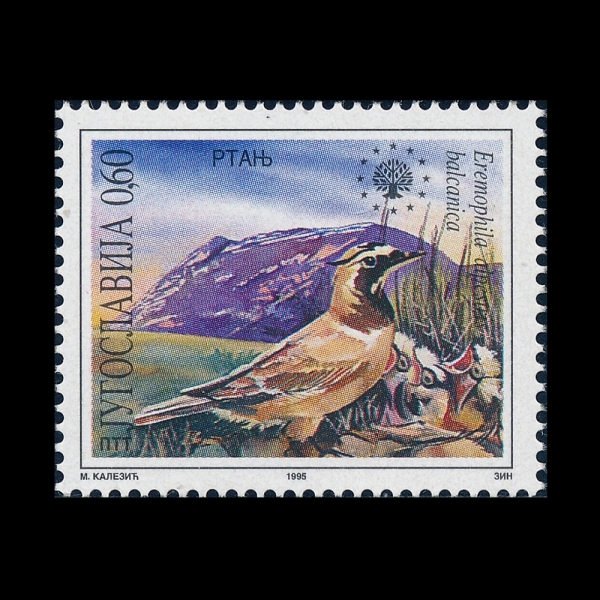 YUGOSLAVIA(����������)-#2298-60p-EREMOPHILA ALPESTRIS BALCANICA(�����ٸ�)-1995.7.10��
