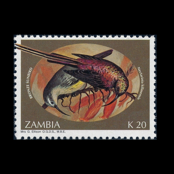 ZAMBIA(����)-#623-20k-BRONZE SUNBIRDS(û��������)-1993.5.30��