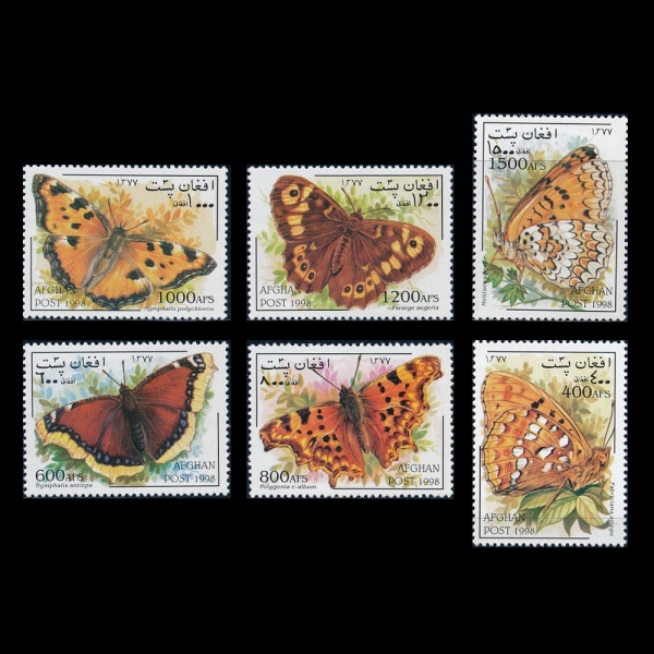 AFGHANISTAN(�������Ͻ�ź)-#NO(6��)-BUTTERFLIES(����)-1998��