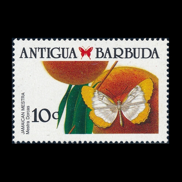 ANTIGUA(��Ƽ����)-#1149-10c-JAMAICAN MESTRA(�޽�Ʈ��)-1988.8.29��