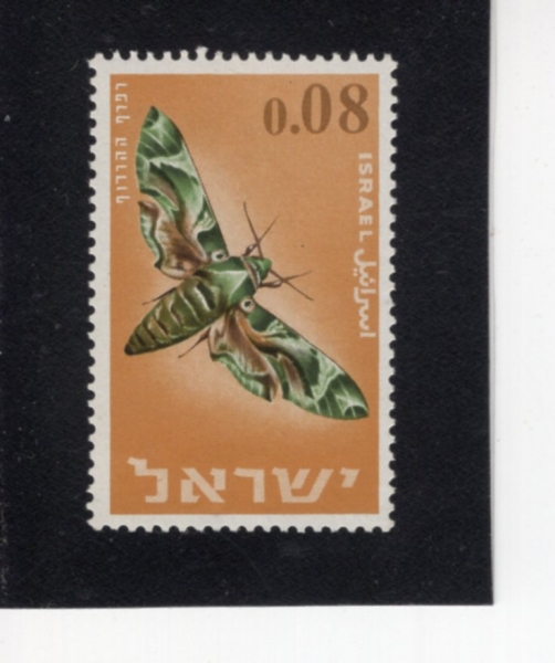 ISRAEL(�̽���)-#306-8a-DAPHNIS NERIL(�����Ͻ� �׸���)-1965.12.15��