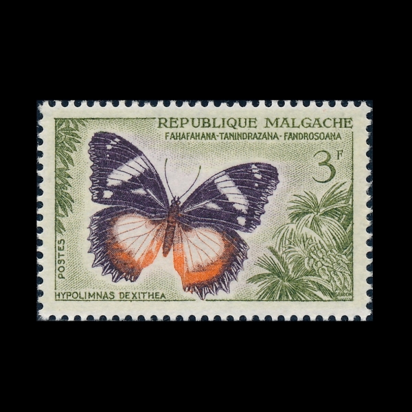 MALAGASY REPUBLIC(���ٰ���ī��)-#310-3fr-HYPOLIMNAS DEXITHEA(���ٰ���ī�� �հ�)-1960��