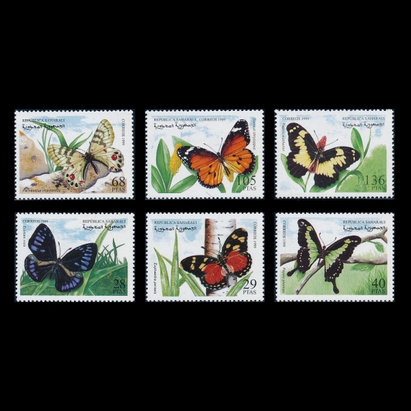 SAHARAUI(���϶� �ƶ� ���� ��ȭ��)-#NO(6��)-BUTTERFLIES(����)-1999��