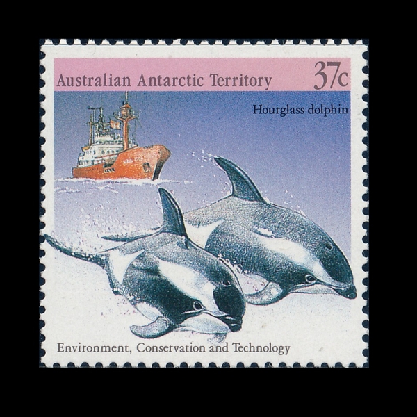AUSTRALIAN ANTARCTIC TERRITORY(����Ʈ���ϸ��Ʒ� ���� ����)-#L76-37c-HOUR-GLASS DOLPHINS AND THE NELLA DAN(�𷡽ð赹����, MV �ڶ� ��)-1988.7.20��