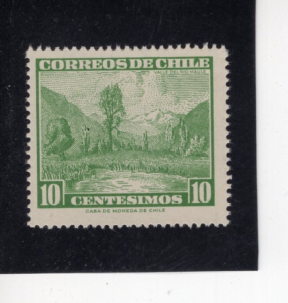 CHILE(ĥ��)-#328-10c-MAUTE RIVER VALLEY(���ﷹ �� ���)-1962��